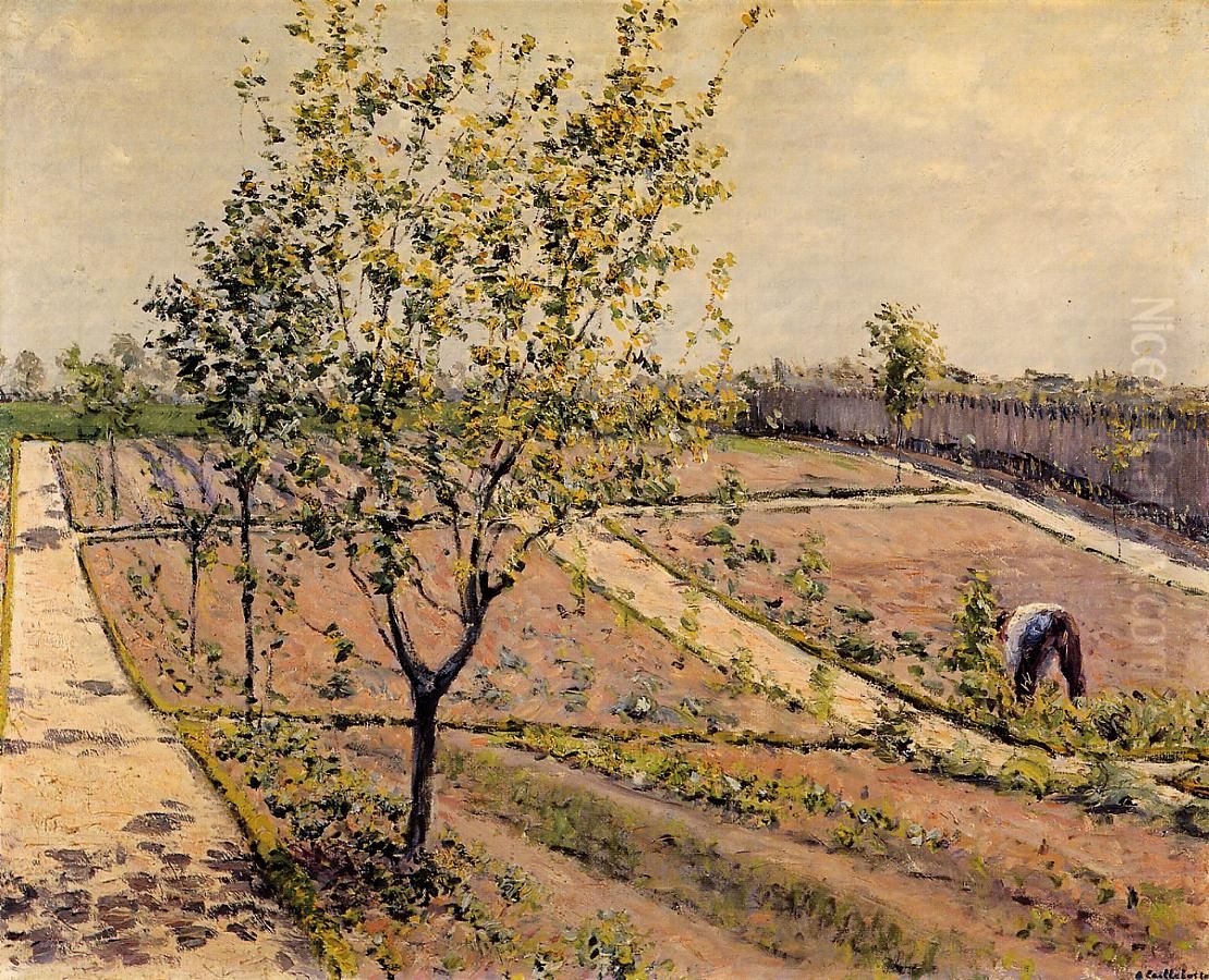 Le jardin potager, Petit Gennevilliers Oil Painting by Gustave Caillebotte