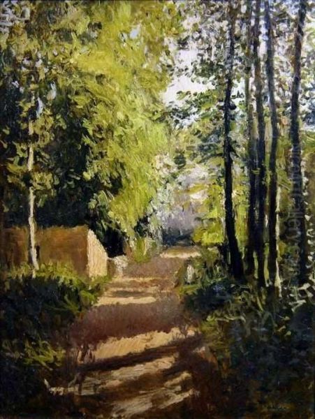 Allee unter Baumen Oil Painting by unknown