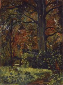 A forest in autumn