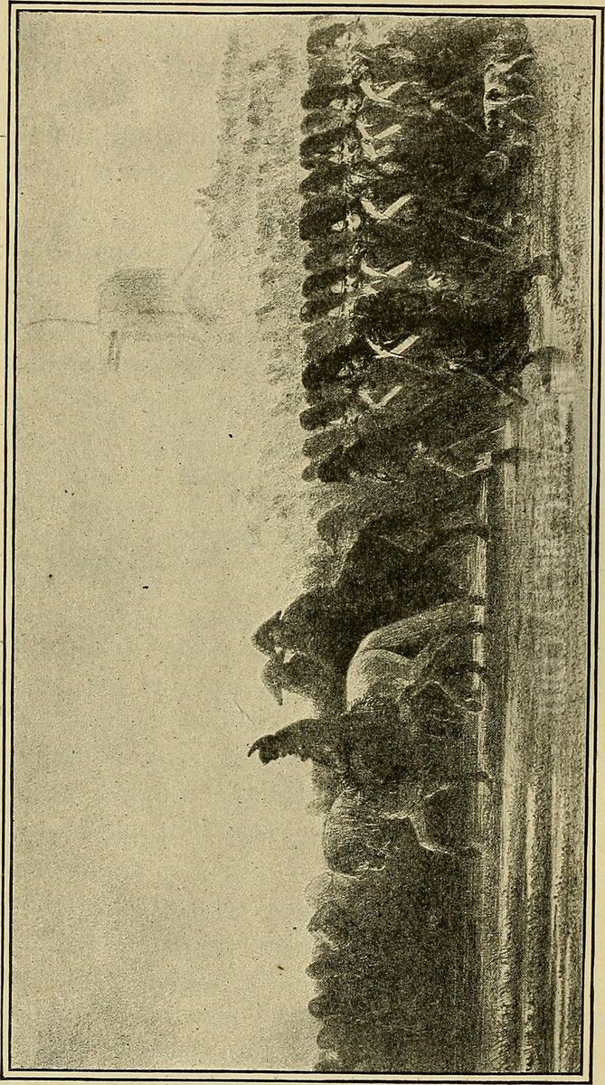 Ils grognaient, et le suivaient toujours Oil Painting by Auguste Raffet