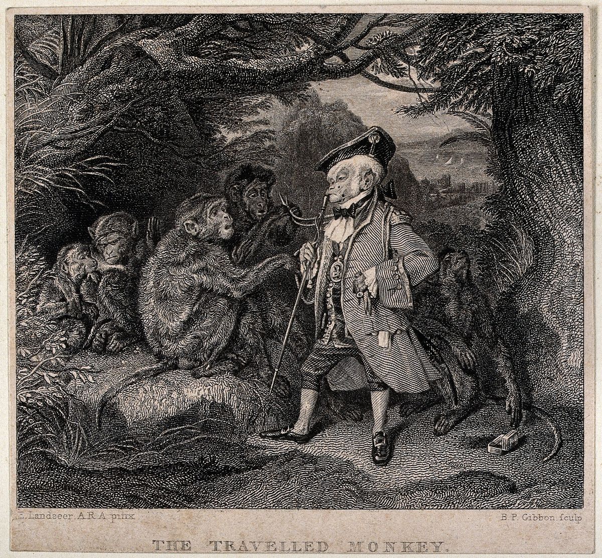 The Travelled Monkey Oil Painting by unknown