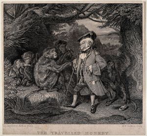 The Travelled Monkey
