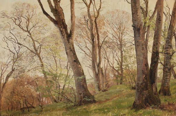 From a forest glade. Oil Painting by Janus la Cour