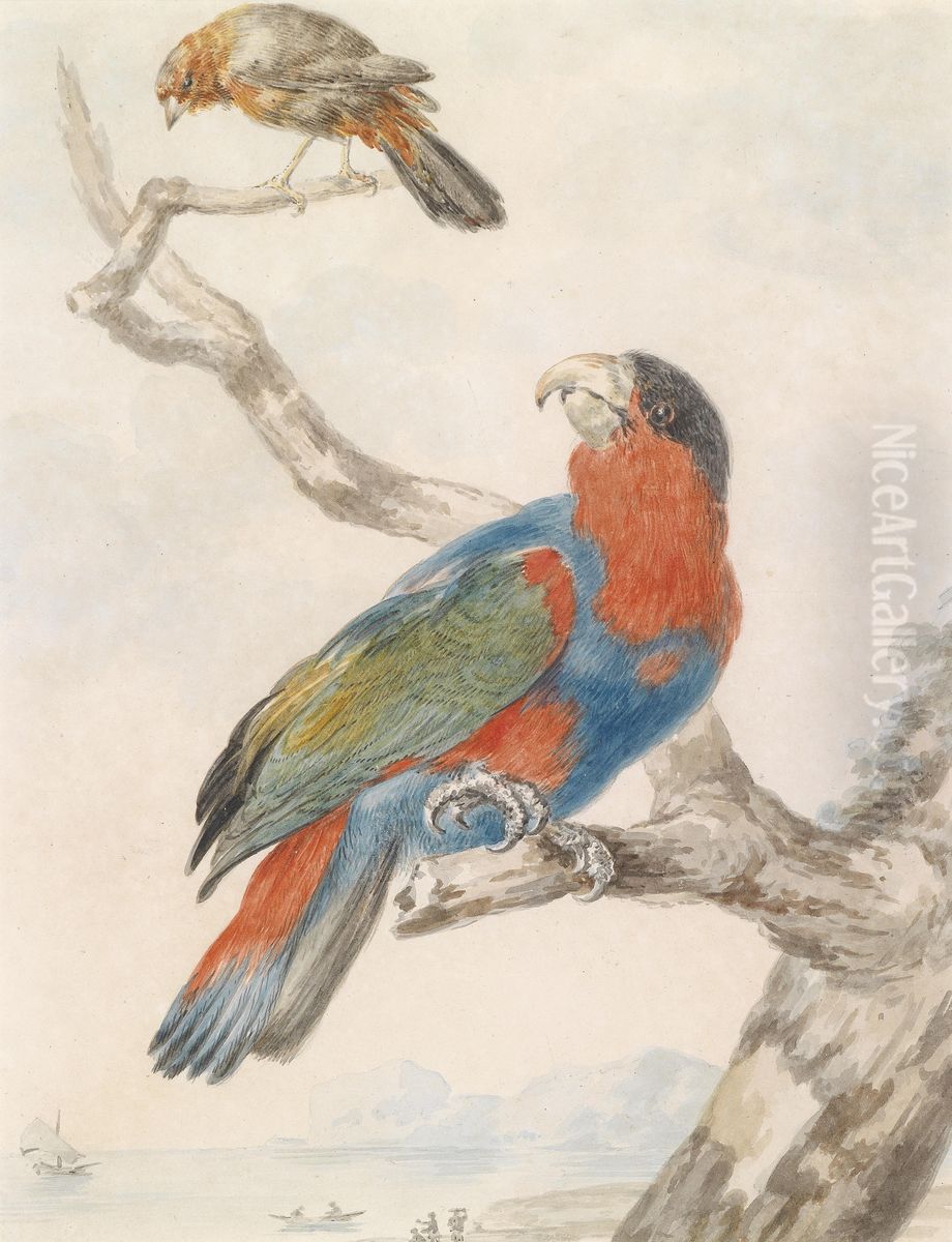 A Black-capped Lory (Lorius lory) in the centre of the painting. A flycatcher above. Oil Painting by Abraham Meertens
