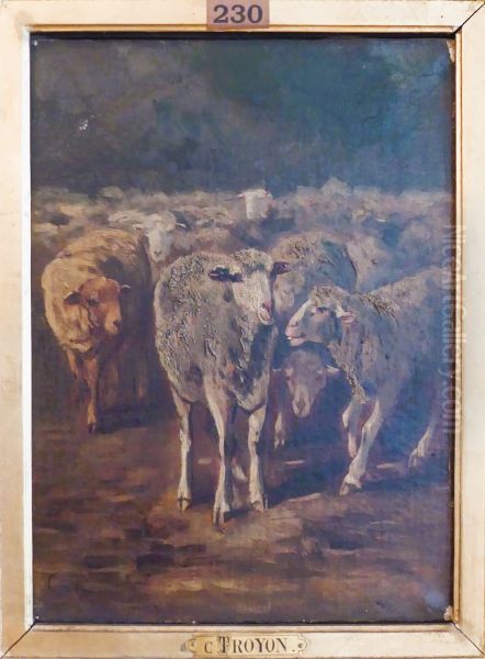 Etude de moutons Oil Painting by Constant Troyon
