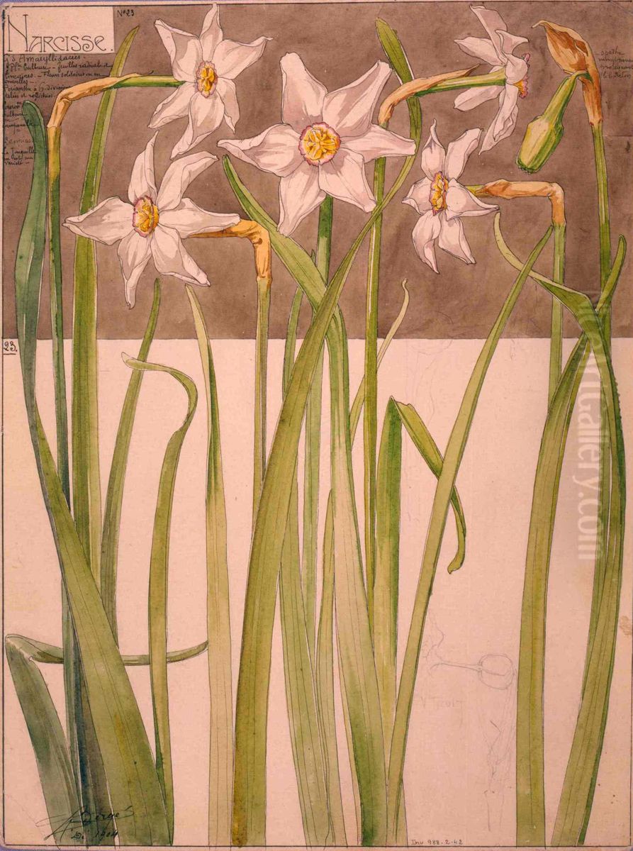 Etude de narcisses Oil Painting by Henri Berge Etude de narcisses Oil Painting by Henri Berge