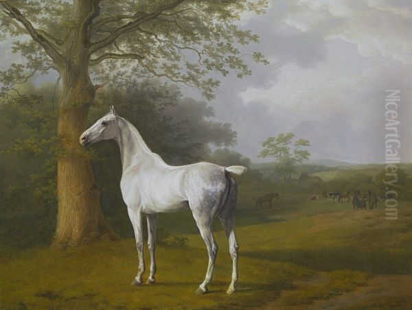 Gray horse in pasture Oil Painting by Jacques-Laurent Agasse