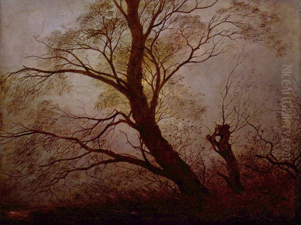 Trees in  the moonlight Oil Painting by Carl Julius von Leypold