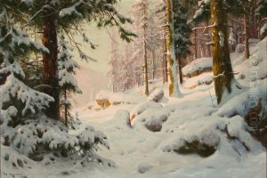 Waldszene zur Winterszeit