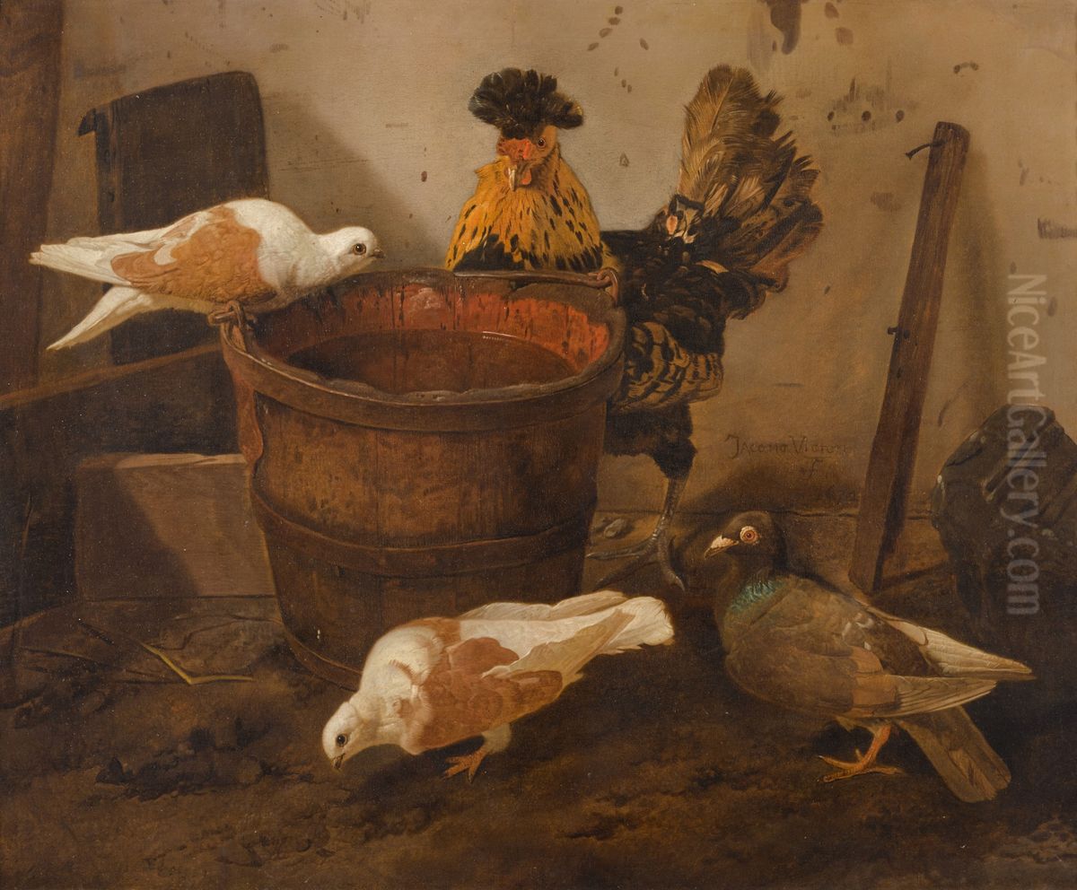 Three pigeons and a rooster by a pail of water Oil Painting by Jacomo Victors