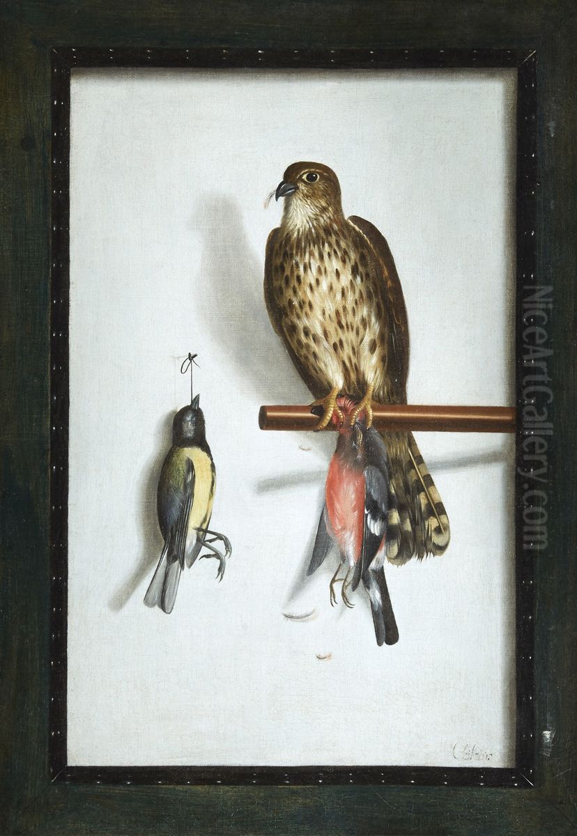 Trompe l'oeil with a falcon and its prey Oil Painting by Cornelis Biltius