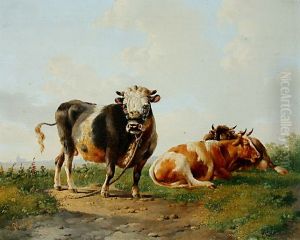 Three Cows
