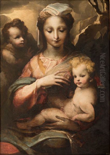 Madonna con il Bambino e San Giovannino Oil Painting by Domenico Beccafumi