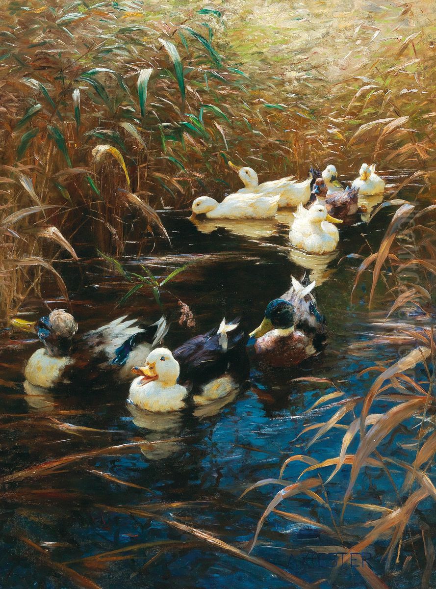 Ducks in autumn reeds Oil Painting by Alexander Koester