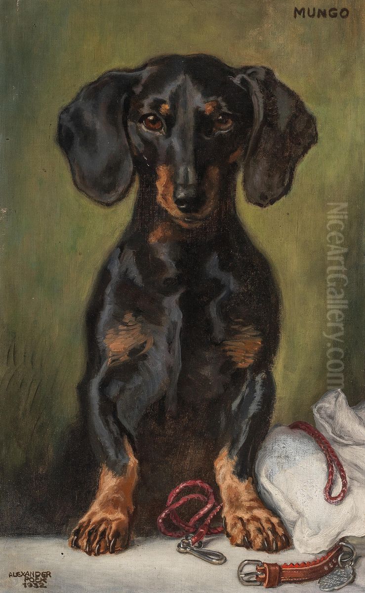 Mungo Oil Painting by Alexander Pock