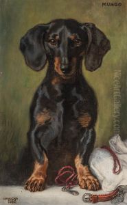 Mungo