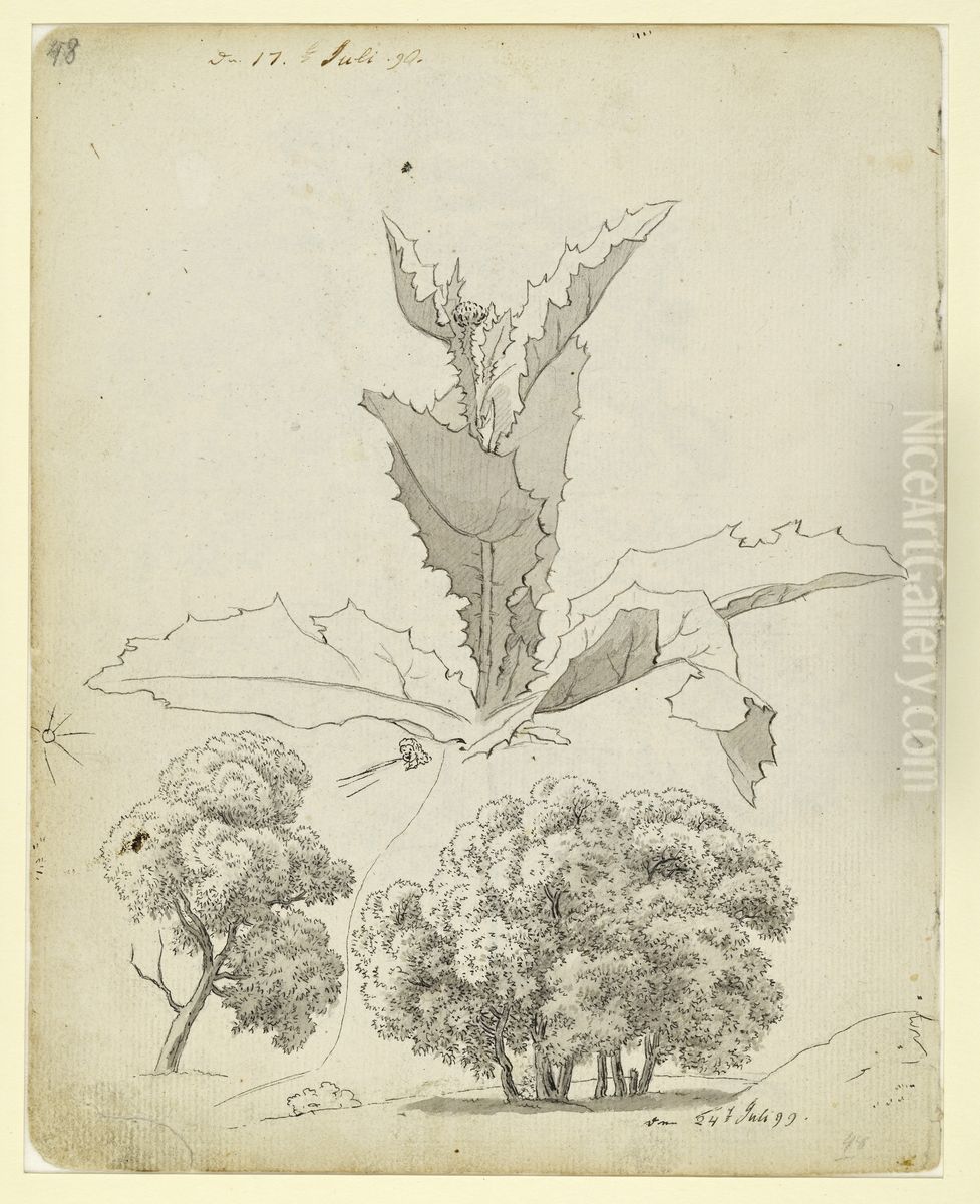Distel und zwei Baumstudien Oil Painting by Caspar David Friedrich