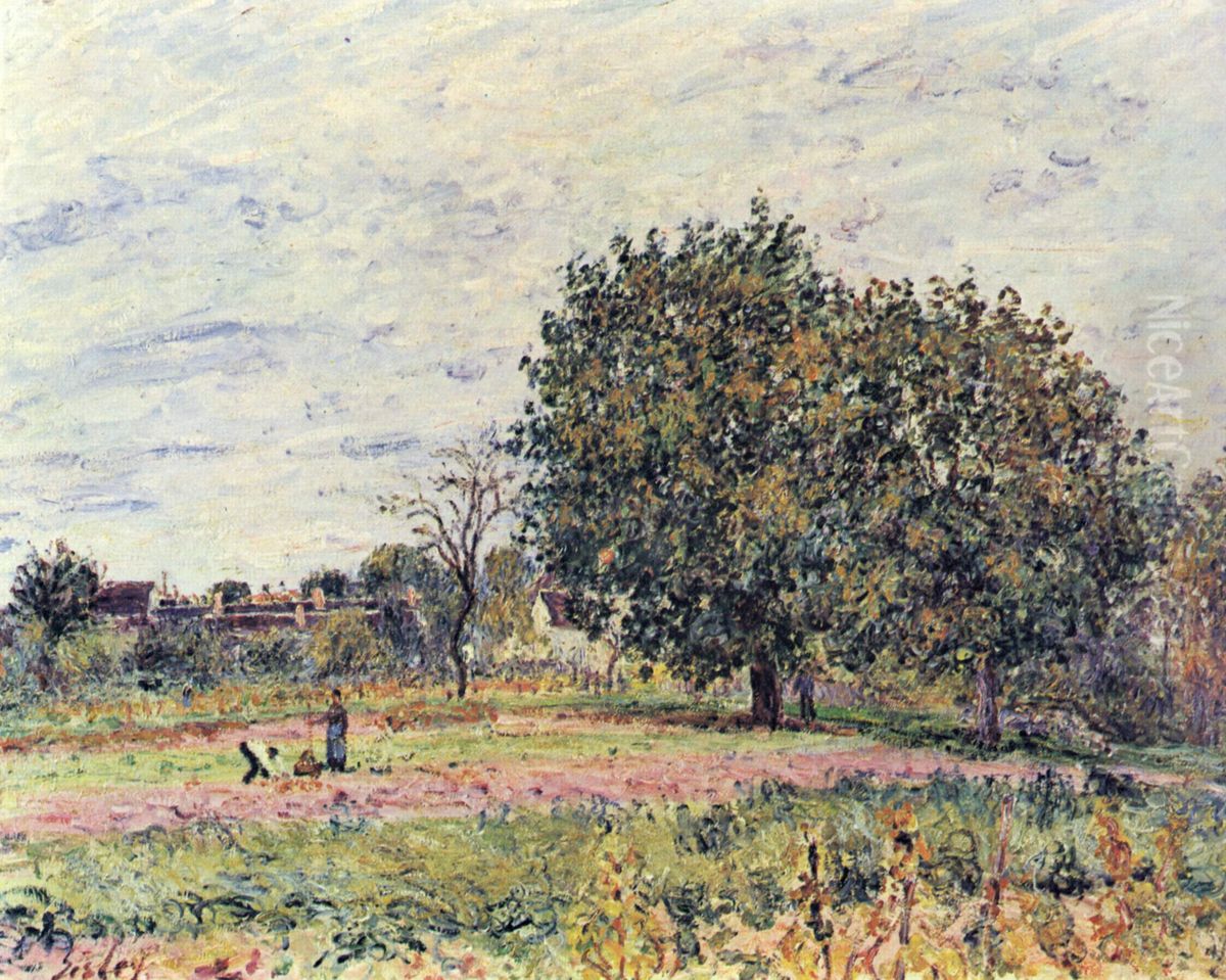 Nussbaume bei untergehender Sonne, Anfang Oktober Oil Painting by Alfred Sisley