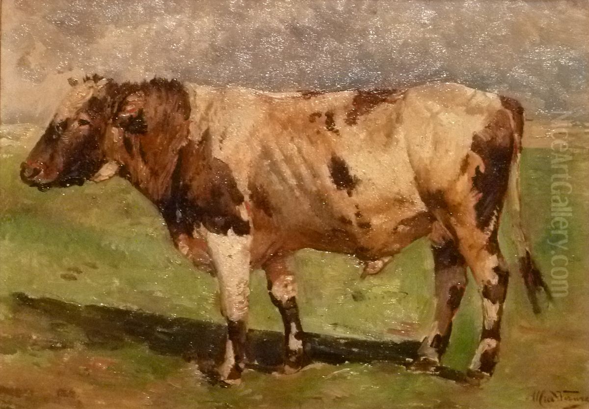 Ox (study) Oil Painting by Alfred Verwee