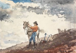 Boy and horse plowing