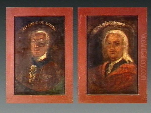 Albrecht von Haller (1708-1777) Oil Painting by unknown