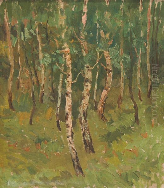 Landscape with birch trees Oil Painting by Alois Kalvoda