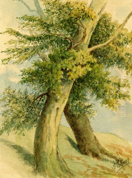 Studija dreves Oil Painting by Alojz Eberl