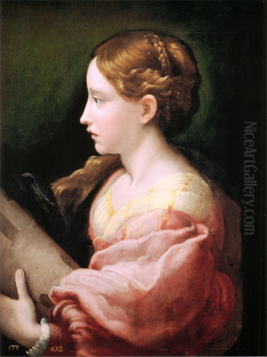 Saint Barbara Oil Painting by Parmigianino Saint Barbara Oil Painting by Parmigianino