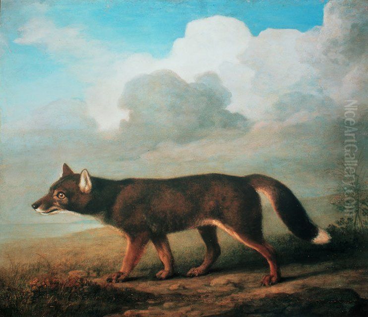 'Portrait of a Large Dog' (Dingo) Oil Painting by George Stubbs