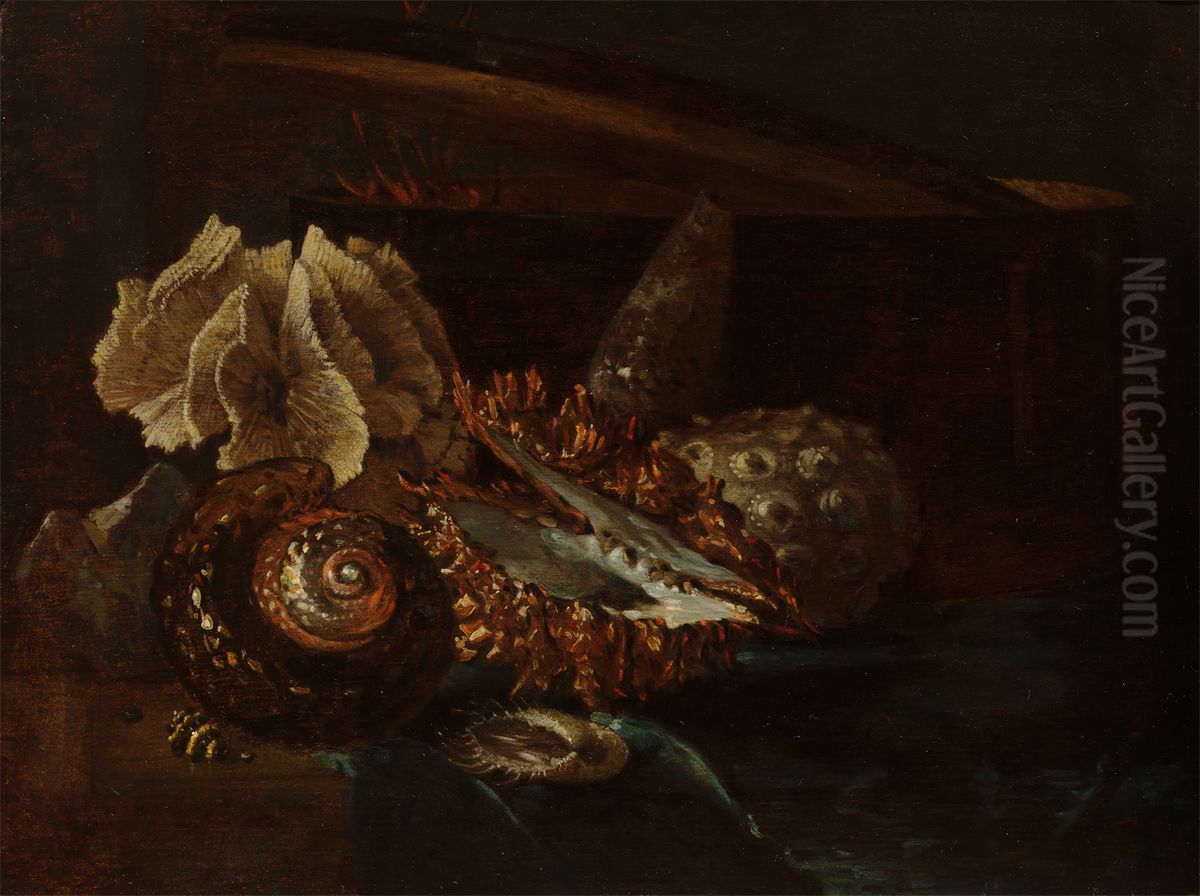 Still Life with Shells and Coral Oil Painting by Willem Kalf