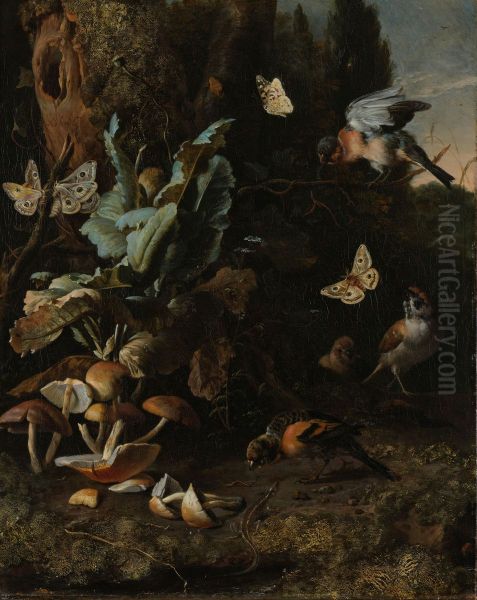 Dieren en planten Oil Painting by Melchior D'Hondecoeter