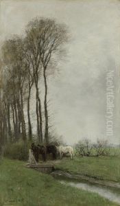 Paarden bij het hek