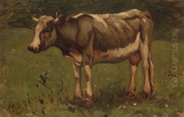 Koe Oil Painting by Anton Mauve