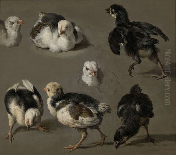 Zeven kuikensi Oil Painting by Melchior D'Hondecoeter