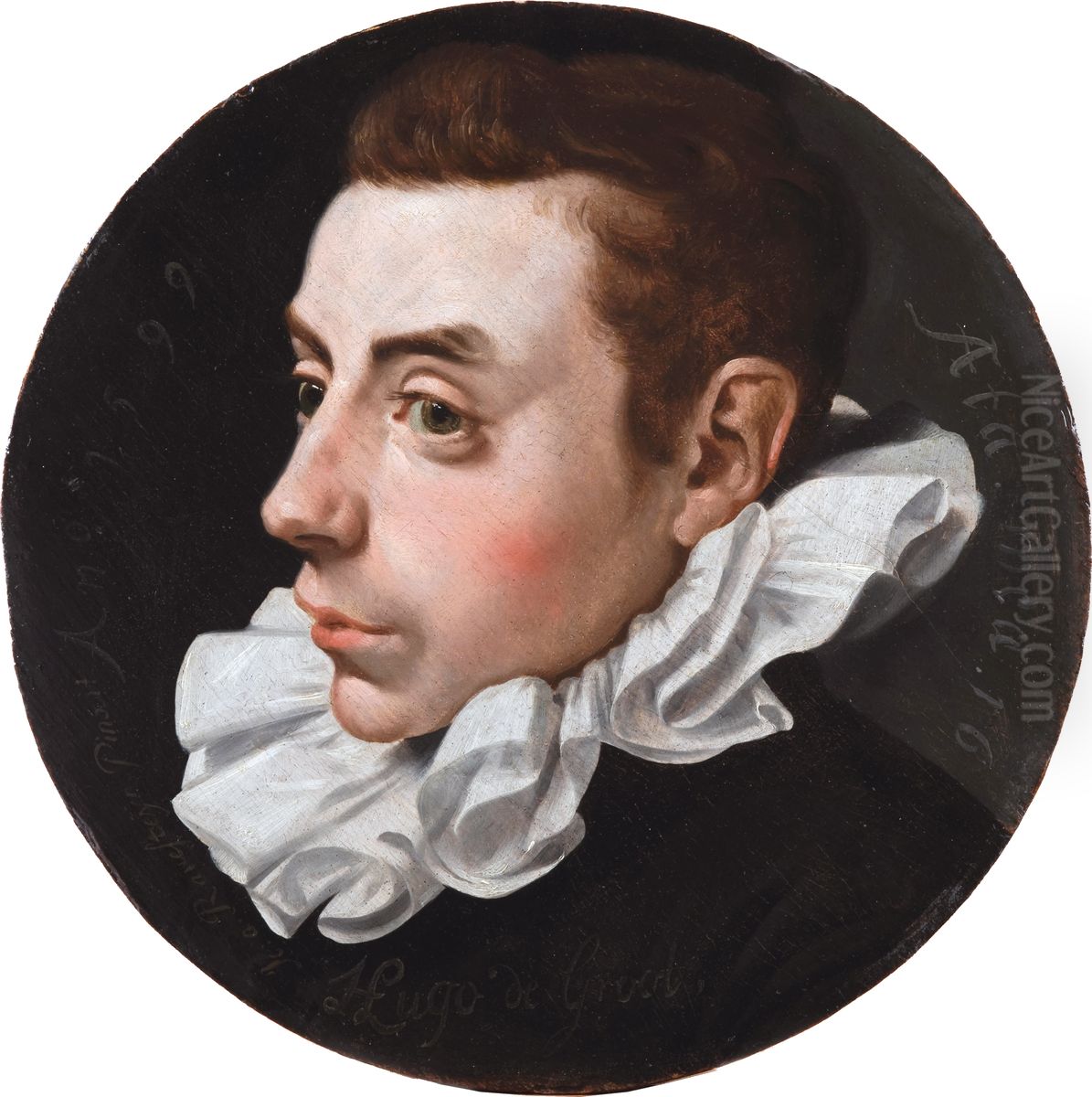 Hugo de Groot op zestienjarige leeftijd. Oil Painting by Jan Van Ravesteyn