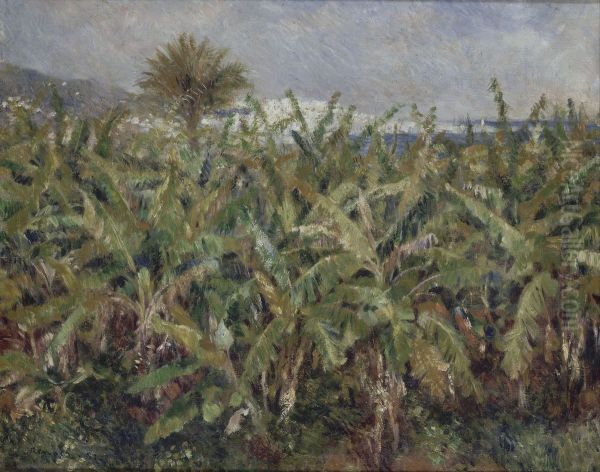Field of Banana Trees Oil Painting by Pierre-Auguste Renoir