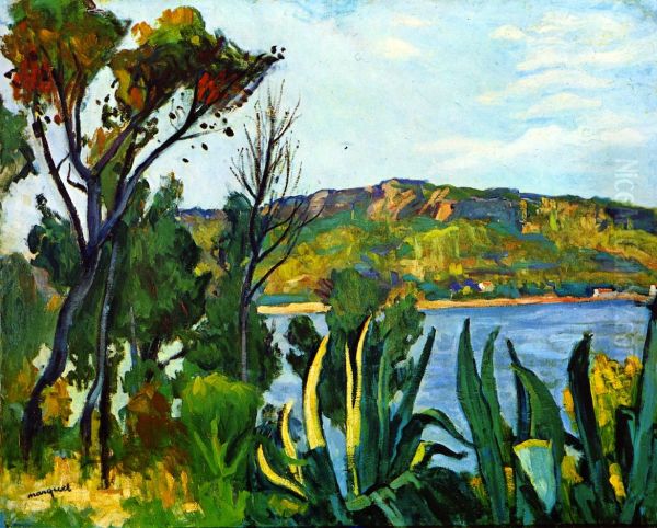 Landscape, Mediterranean bay, view of Agay Oil Painting by Albert Marquet