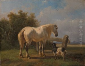 Paard in de weide