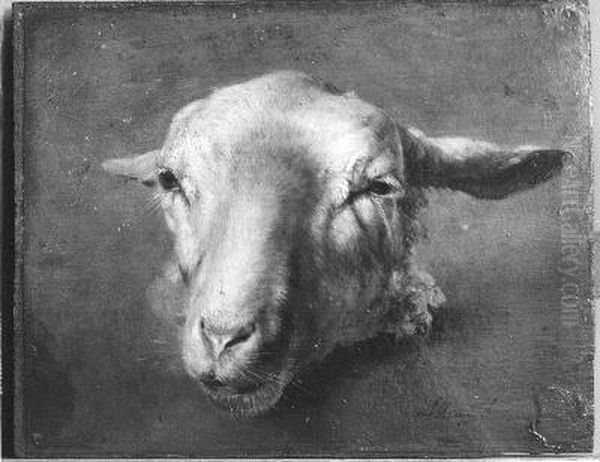 Schaapskop Oil Painting by Anton Mauve