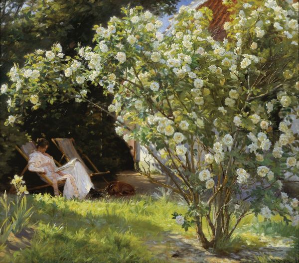 Roses. Marie Kroyer seated in the deckchair in the garden by Mrs Bendsen's house Oil Painting by Peder Severin Kroyer