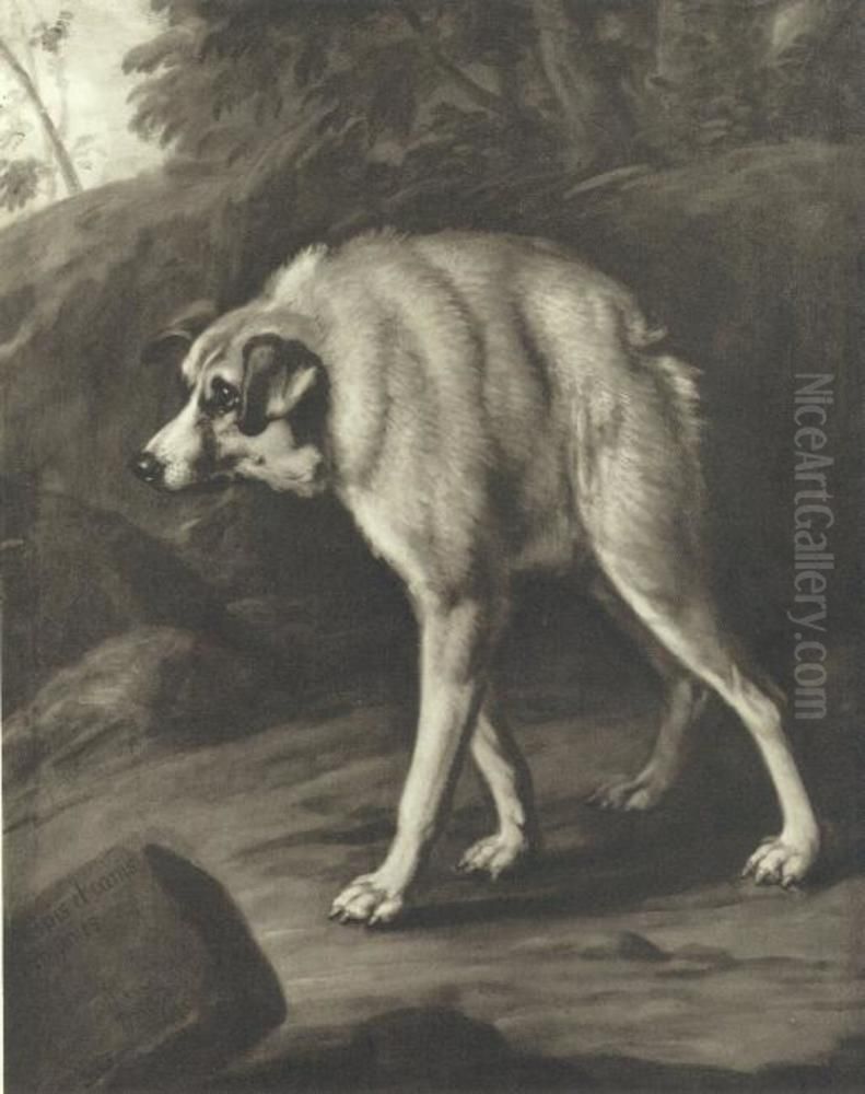 Missbildad hund Oil Painting by David Klocker Ehrenstrahl