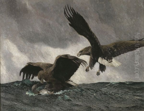 Havsornar Oil Painting by Bruno Andreas Liljefors