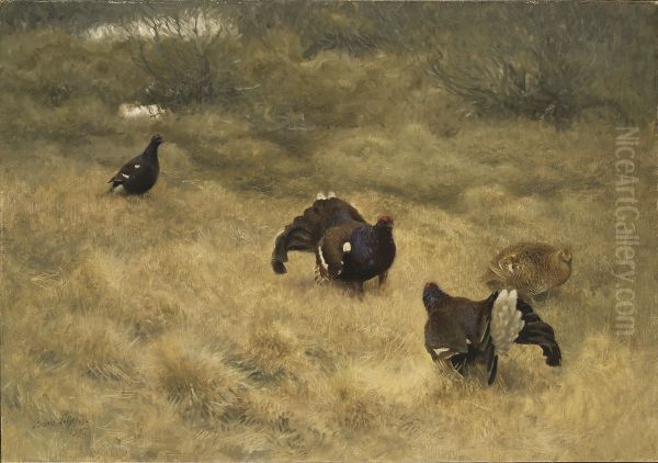 Orrspel i mossen Oil Painting by Bruno Andreas Liljefors