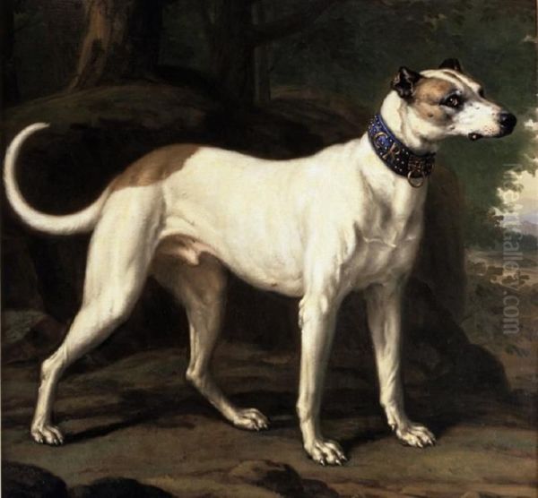 Turck, a Hound Belonging to King Karl XI Oil Painting by David Klocker Ehrenstrahl