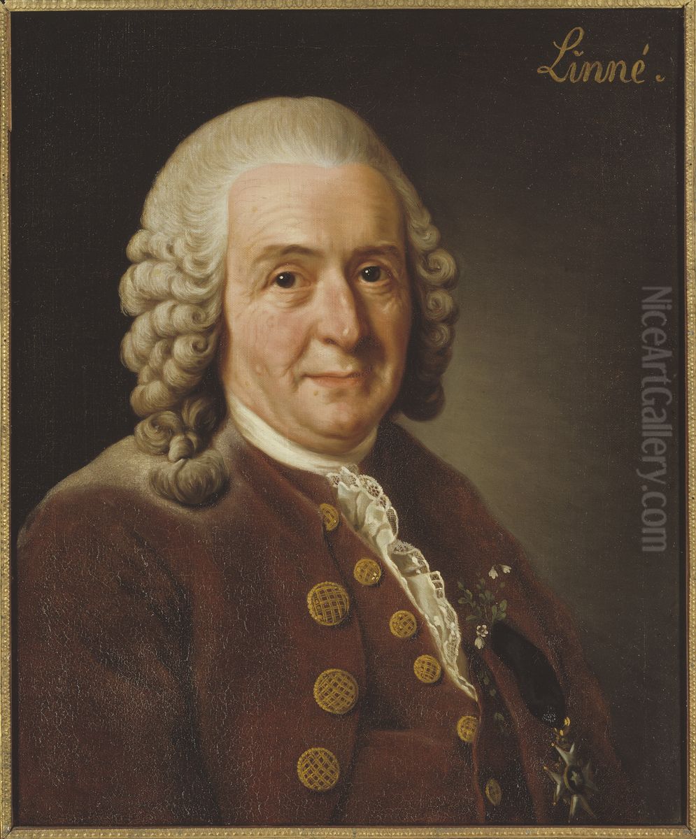 Carl von Linne, 1707-1778, botanist, professor Oil Painting by Alexander Roslin