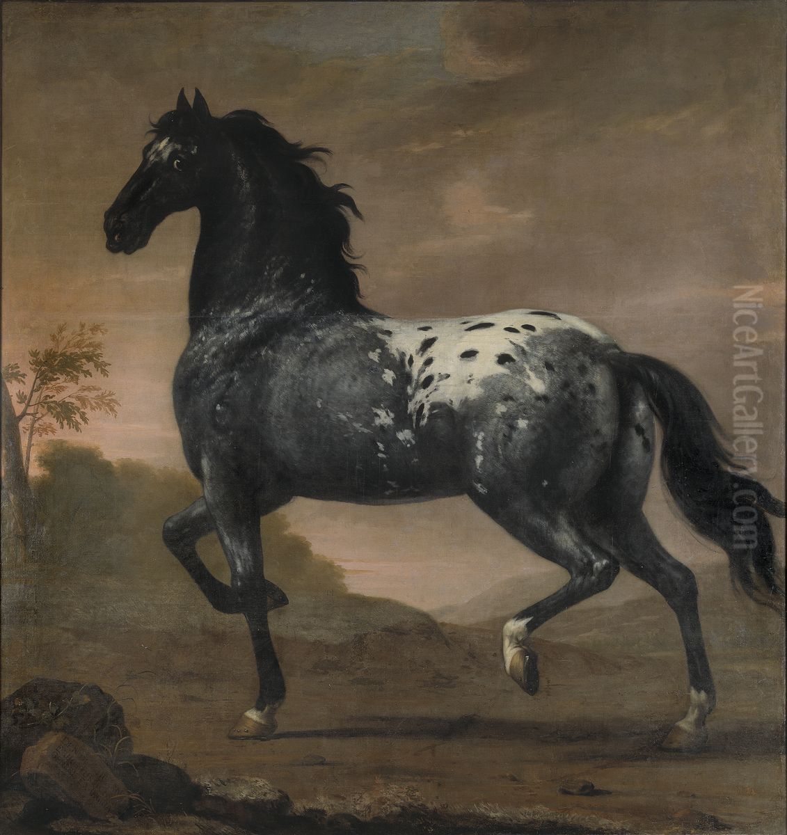 Karl XI:s livhast Bla Tigern Oil Painting by David Klocker Ehrenstrahl