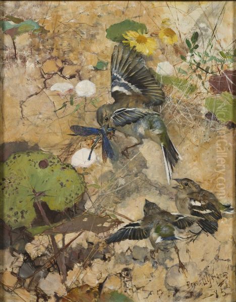 Chaffinches and Dragonflies. Five studies in one frame, NM 2223-2227 Oil Painting by Bruno Liljefors