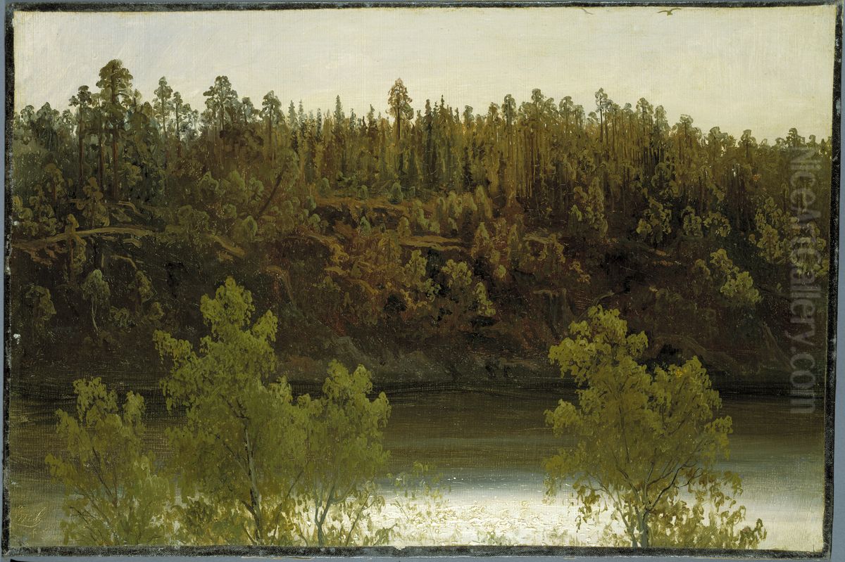 Svenskt insjolandskap. Studie Oil Painting by Marcus Larson