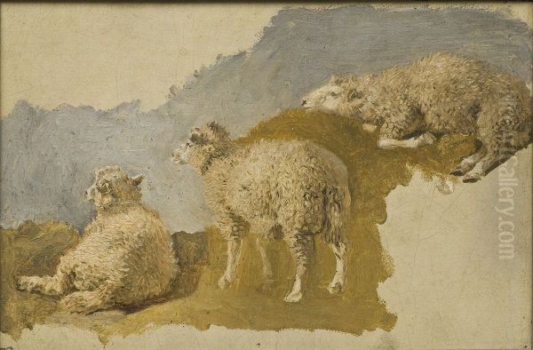 Three Sheep. Study Oil Painting by Kilian Zoll