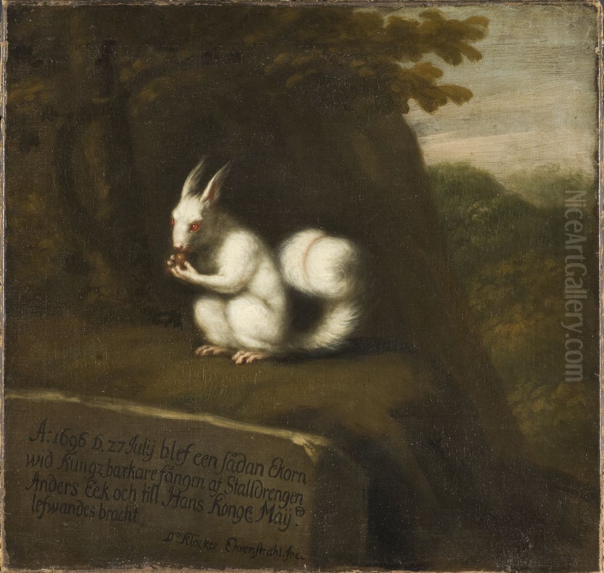 Vit ekorre i landskap Oil Painting by David Klocker Ehrenstrahl